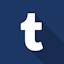 Tumblr Feed for WordPress logo
