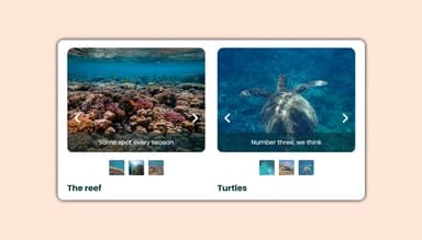 Carousel Grid widget preview