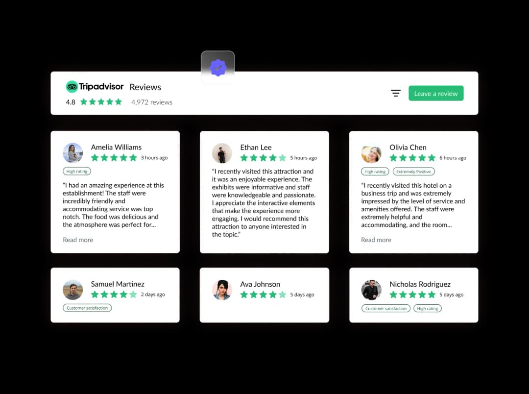 Tripadvisor Reviews widget preview