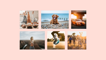 Image Gallery for Divi logo