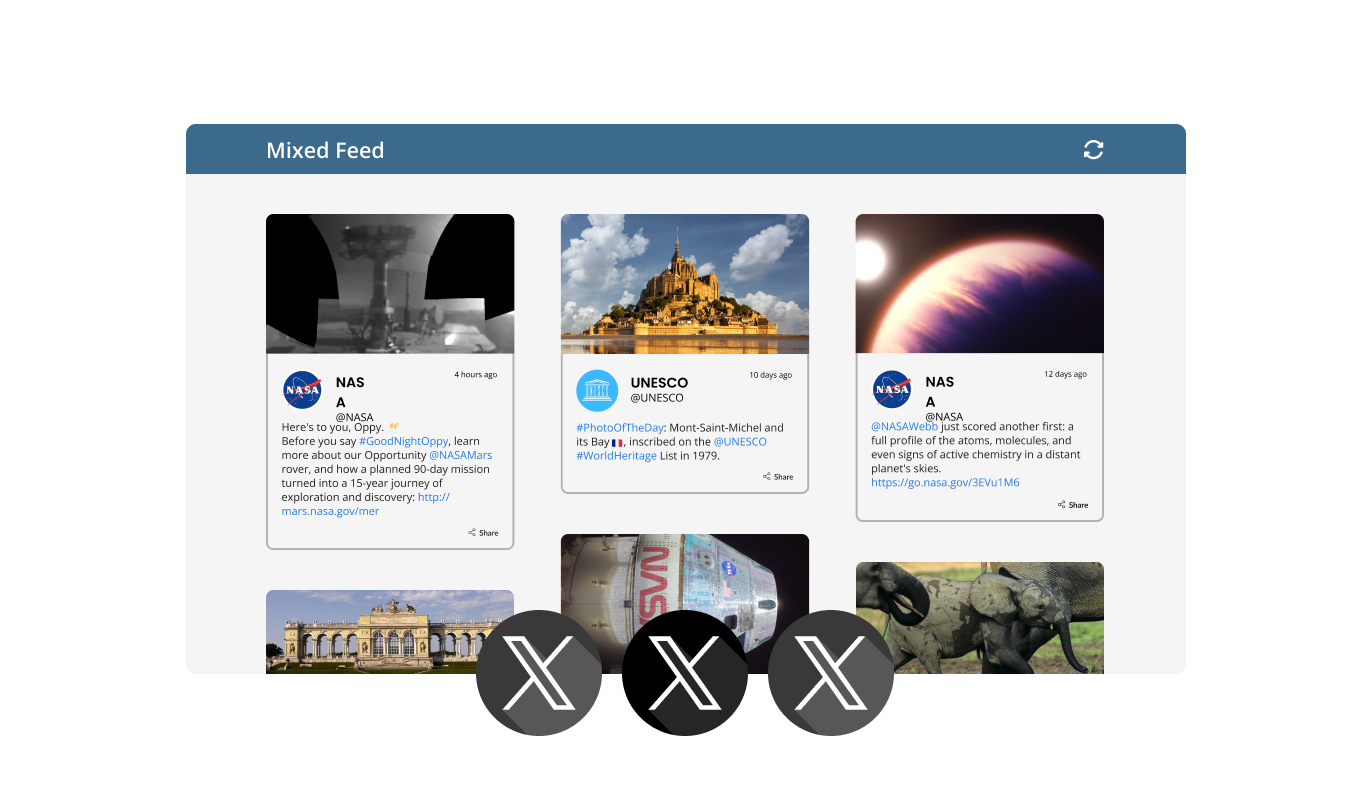 X Feed - You can choose from two types of Twitter feeds