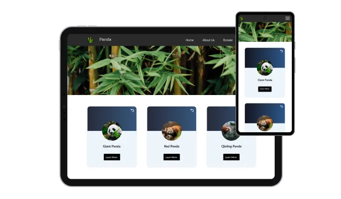 3D Cards - It's all about responsive design for your Shoprenter store