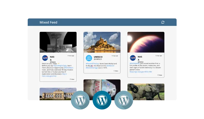 WordPress Feed - WordPress Feed Types