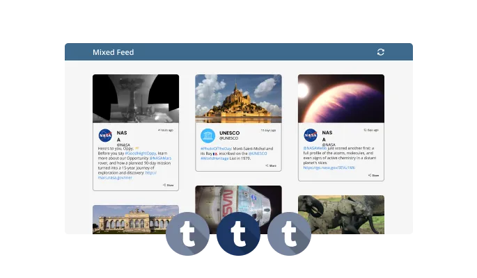 Tumblr Feed - Multiple Tumblr Feed Types