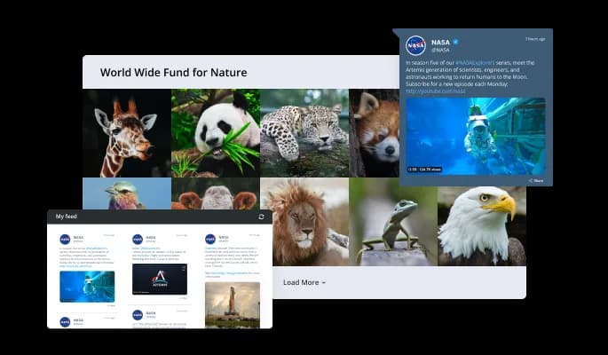 Social Media & RSS Feeds - Multiple Skins & Layouts