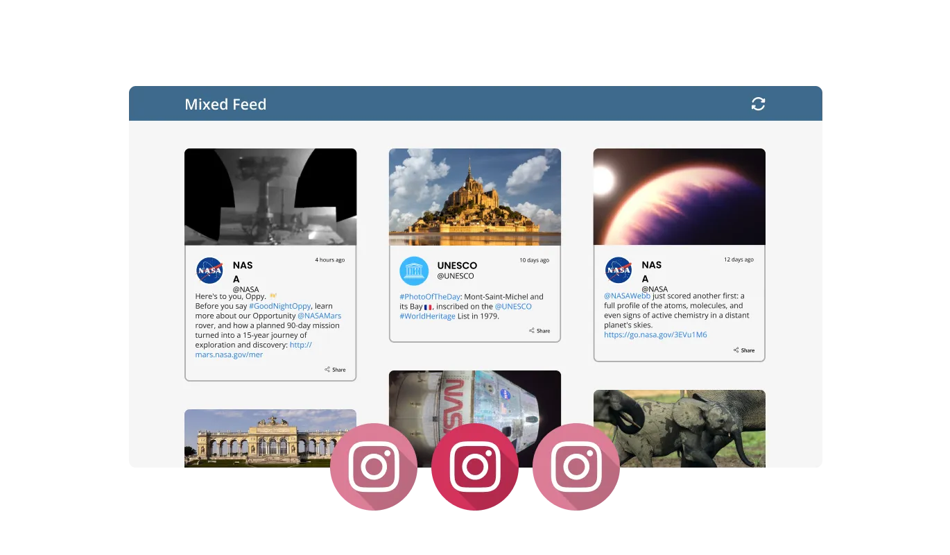 Instagram Feed - Two types of Instagram feeds are available