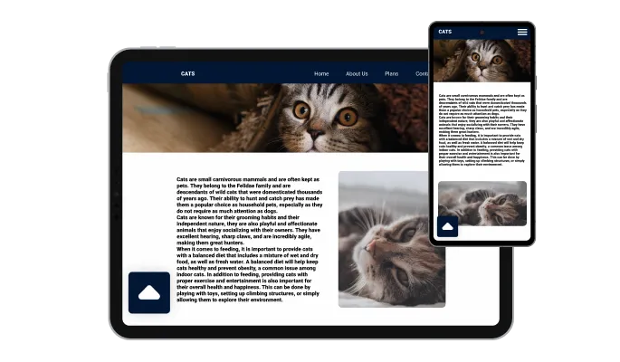 Back to Top Button - Perfectly Responsive for your Apostrophe Assembly widget