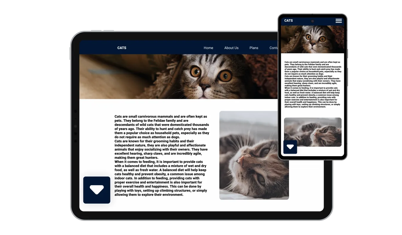 Scroll to Element Button - Perfectly Responsive Bootstrap Studio widget
