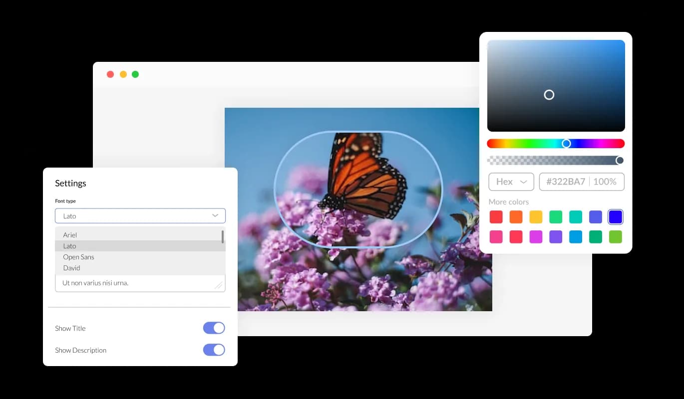 Image Magnifier - Comprehensively Customized Image magnifier for Modx