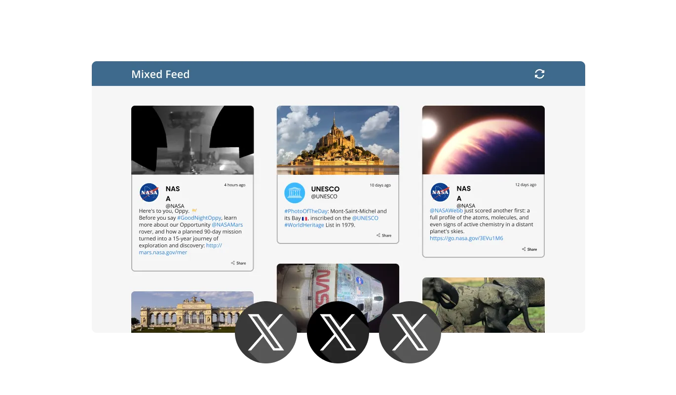 X Feed - You can choose from two types of Twitter feeds