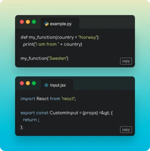 code snippets widget made with Common Ninja